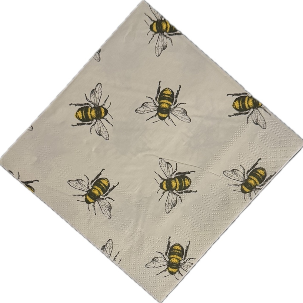 Dabney Lee Bee Patterned Lunch/Dinner Napkins | 10 Napkins | 13” x 13”